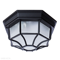 Потолочный светильник Arte Lamp PEGASUS A3100PL-1BK