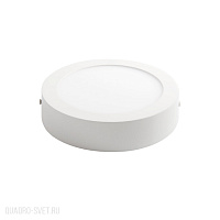 Накладной светодиодный светильник Kanlux CARSA 25854
