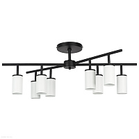 Потолочная люстра Lightstar Rullo LR728368