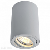 Накладной светильник Arte Lamp A1560PL-1GY