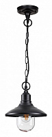 Ландшафтный подвес Odeon Light CAMPA 4965/1