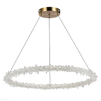 Подвесная светодиодная люстра ST Luce Lucchero SL6105.213.01