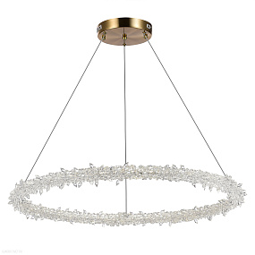 Подвесная светодиодная люстра ST Luce Lucchero SL6105.213.01