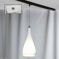 Трековый подвесной светильник Lussole Loft RIMINI LSF-1106-01-TAW