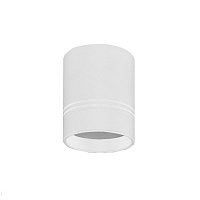 Накладной светодиодный светильник Donolux Barell DL18481/WW-White R