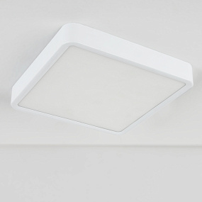 Потолочный светодиодный светильник Elektrostandard DLS034 18W 4200K