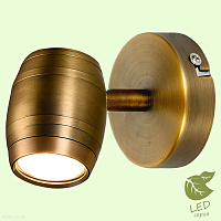 Спот LGO TUSCALOOSA GRLSP-9566