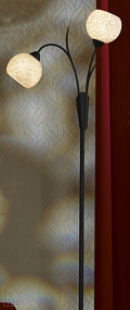 Торшер LUSSOLE LSF-6295-02