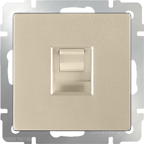 Телефонная розетка  RJ-11 (шампань) Werkel WL11-RJ-11