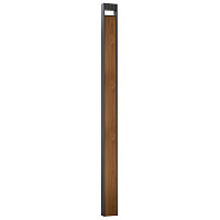 Ландшафтный светодиодный светильник Arte Lamp ARNEB A2140PA-1BR