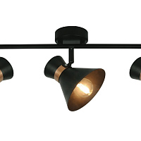 Спот Arte Lamp Baltimore A1406PL-3BK