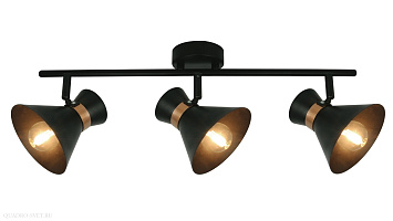 Спот Arte Lamp Baltimore A1406PL-3BK
