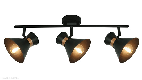 Спот Arte Lamp Baltimore A1406PL-3BK