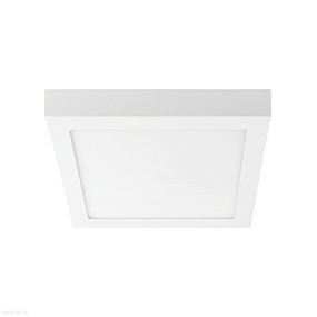 Накладной светодиодный светильник Lightstar Zocco 324124