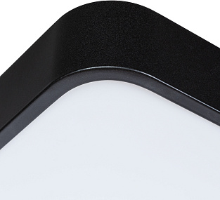 Потолочный светодиодный светильник Arte Lamp SCENA A2662PL-1BK