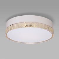 Потолочный светильник TK Lighting 6691 Paglia