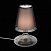 Настольная лампа ST Luce Ampolla SL974.404.01