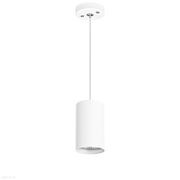 Подвесной светильник Lightstar Rullo RP436