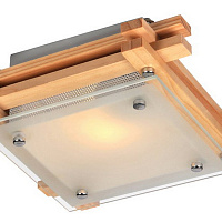 Потолочный светильник Arte Lamp ARCHIMEDE A6460PL-1BR