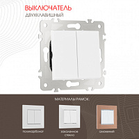 Выключатель двухклавишный, 10AX 250V 203.30-2.white Arte Milano