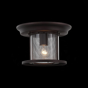 Уличный потолочный светильник ST Luce LASTERO SL080.402.01