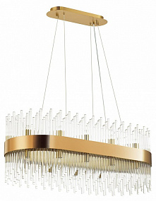 Подвесная люстра Odeon Light FOCCO 4722/24