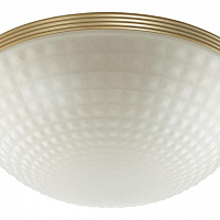 Потолочный светильник Odeon Light MALAGA 4936/3C