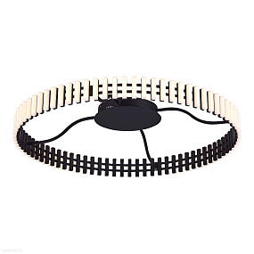 Потолочная светодиодная люстра ST Luce ESTENSE SL6203.402.50