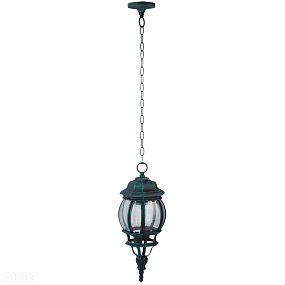 Подвесной уличный светильник Arte Lamp ATLANTA A1045SO-1BG