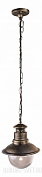 Подвес Arte Lamp Amsterdam A1523SO-1BN
