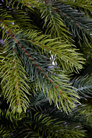Ель CRYSTAL TREES Атланта Премиум зеленая 240 см. KP1024