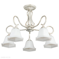 Потолочная люстра Arte Lamp MERRY A2714PL-5WG
