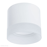 Накладной светильник Arte Lamp CASTOR A5554PL-1WH