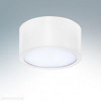 Потолочный светильник Lightstar Zolla 213916
