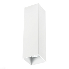 Накладной светильник Lightstar Rullo 216596