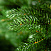 Ель CRYSTAL TREES ВЕРСАЛЬСКИЕ ОГНИ 215 см. KP22215
