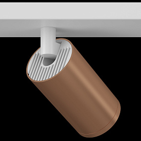 Потолочный светильник Maytoni FOCUS S C051CL-2WC