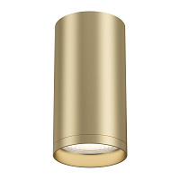 Накладной светильник Maytoni FOCUS S C052CL-01MG