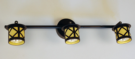 Спот CITILUX Гессен CL536531