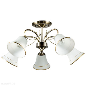 Потолочная люстра Arte Lamp BLOSSOM A2709PL-5AB