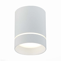 Накладной светодиодный светильник ST Luce ST115.542.12