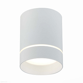 Накладной светодиодный светильник ST Luce ST115.542.12