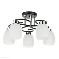 Потолочная люстра Arte Lamp KRIT A4505PL-5BK