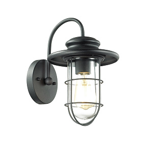 Уличный настенный светильник IP44 Odeon Light HELM 4171/1W