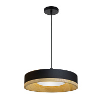 Светодиодный подвесной светильник Divinare VASO 5119/06 SP-12
