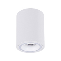 Накладной светильник Arte Lamp IMAI A2267PL-1WH