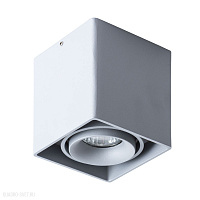 Накладной светильник Arte Lamp PICTOR A5654PL-1GY
