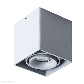 Накладной светильник Arte Lamp PICTOR A5654PL-1GY