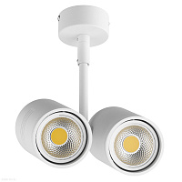 Потолочный светильник Lightstar Rullo 214446