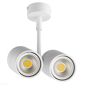 Потолочный светильник Lightstar Rullo 214446
